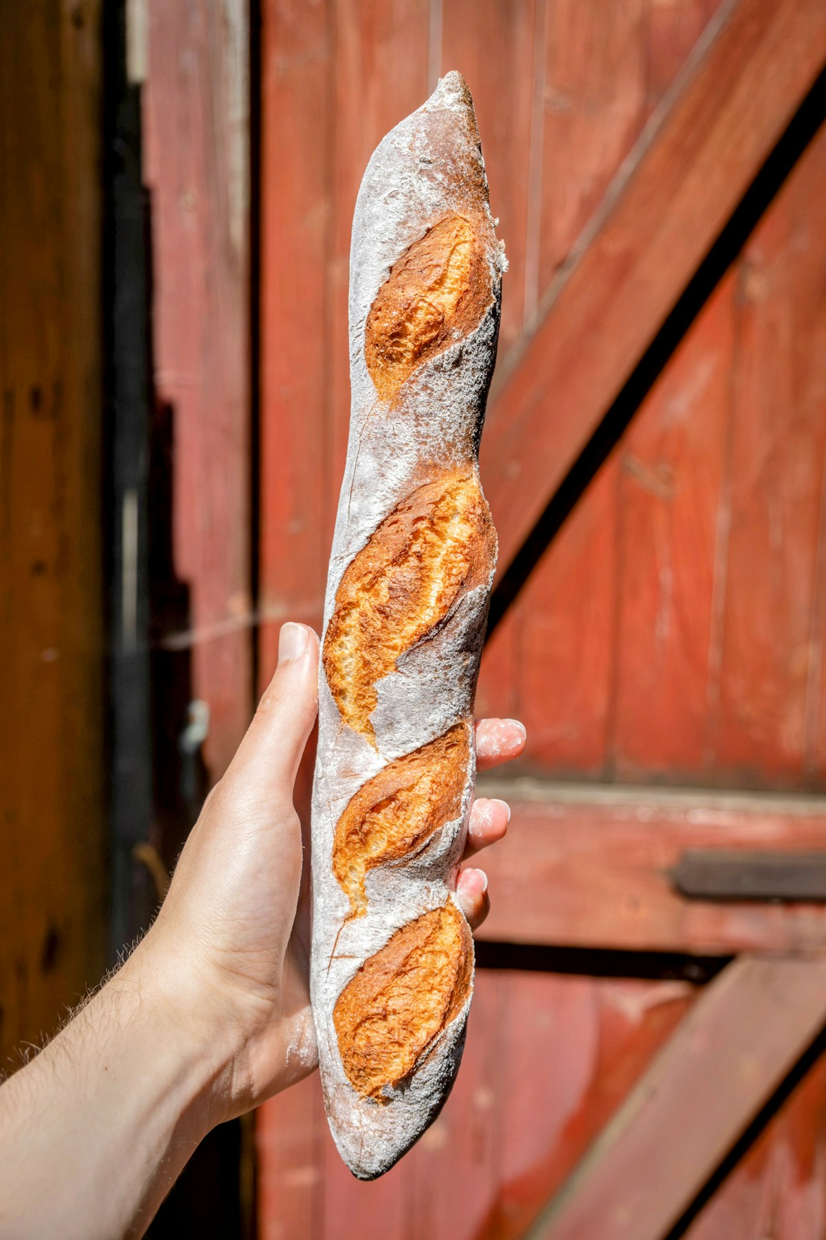 Baguette tradition dorée